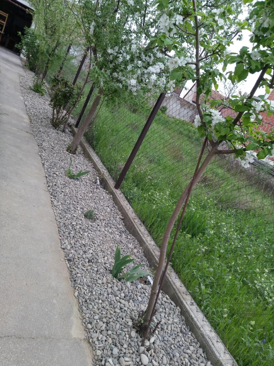 Petros apartmani Vukovar Exterior foto